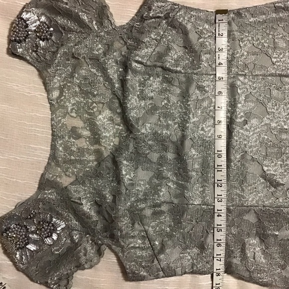 Adrianna Papell silver metallic lace gown dress - Picture 7 of 8